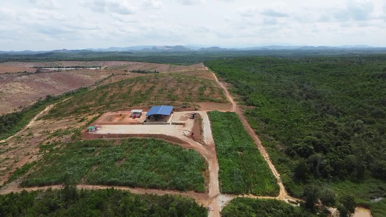 Drone view of the Gemas animal feed farm and nursery